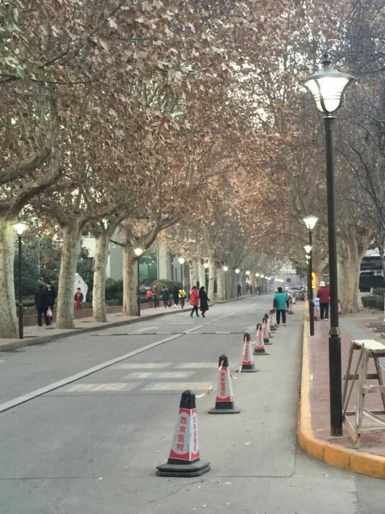 市電道路路燈 市電道路路燈