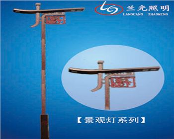 內蒙古雙頭市電景觀燈