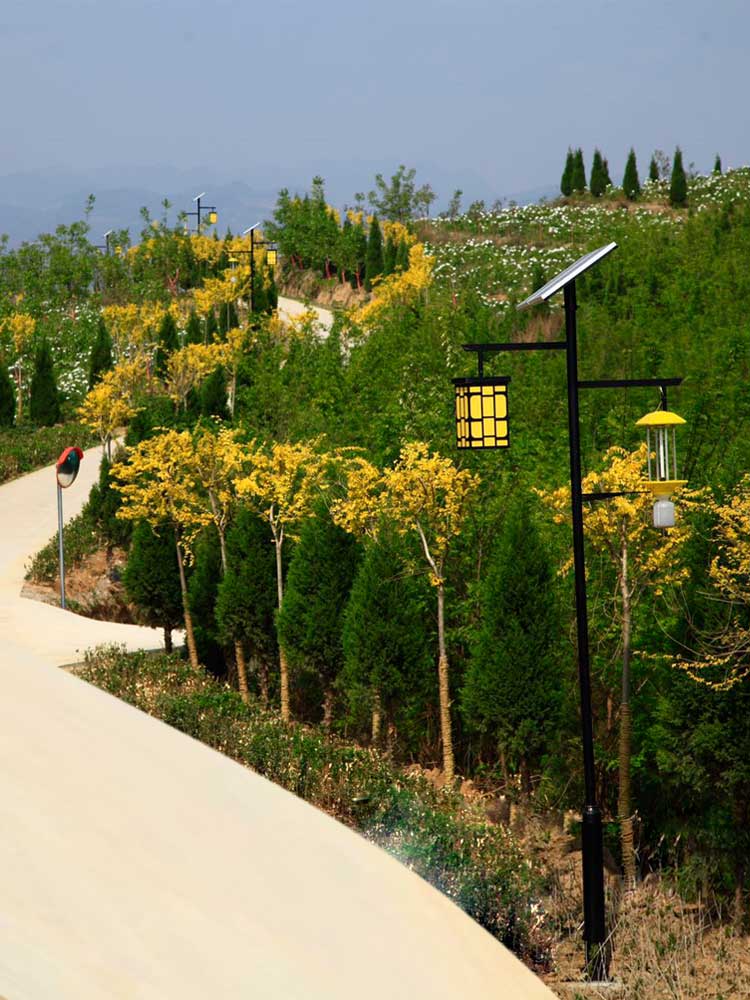 太陽(yáng)能殺蟲燈 太陽(yáng)能殺蟲燈